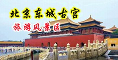 69xx逼逼无毛视频中国北京-东城古宫旅游风景区